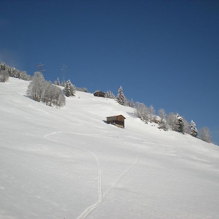 Landhaus Staudacher Gerlos Esterno foto